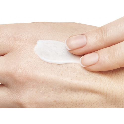 Light Moisturizing Cream for Normal Skin