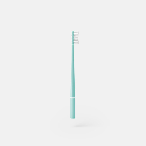 Soft bristle toothbrush with echinacea extract