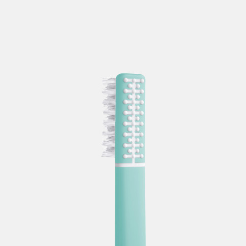 Soft bristle toothbrush with echinacea extract