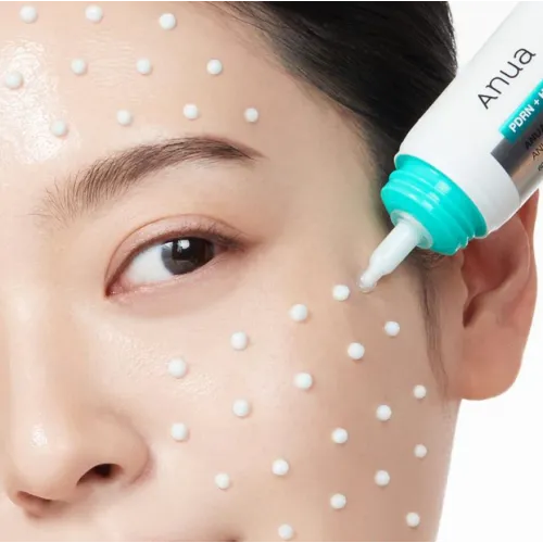 Зволожуючий крем з PDRN та гіалуроновою кислотою Anua - PDRN Hyaluronic Acid 100 Moisturizing Cream, 60 мл