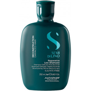 Shampoo for damaged hair, 250ml